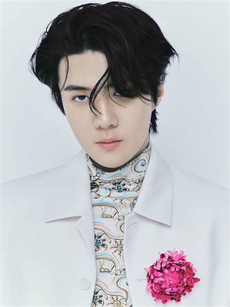 sehun dior